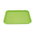 Flat Instrument Tray - Green